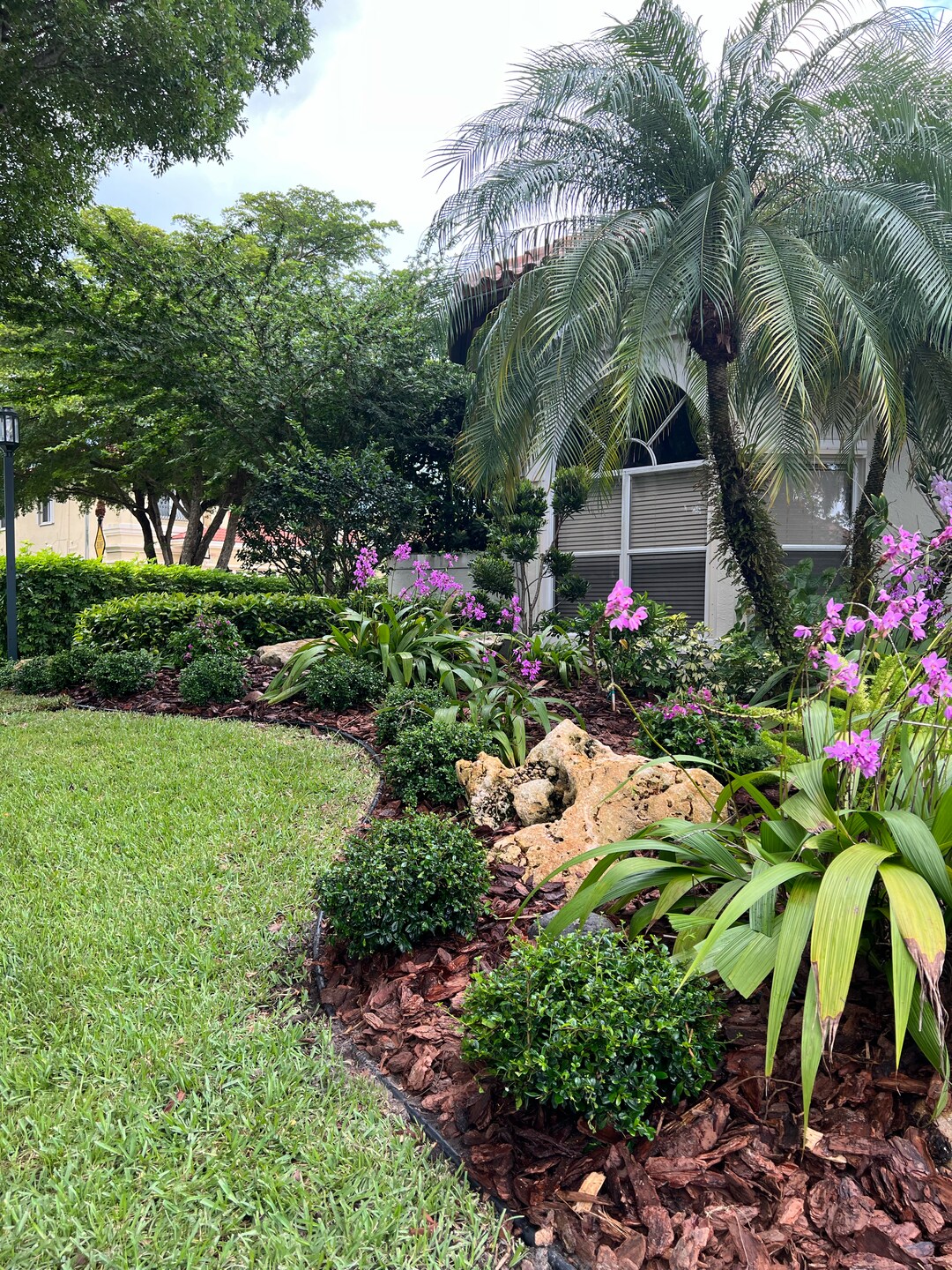 Back yard hedge Installation and landscape solutions