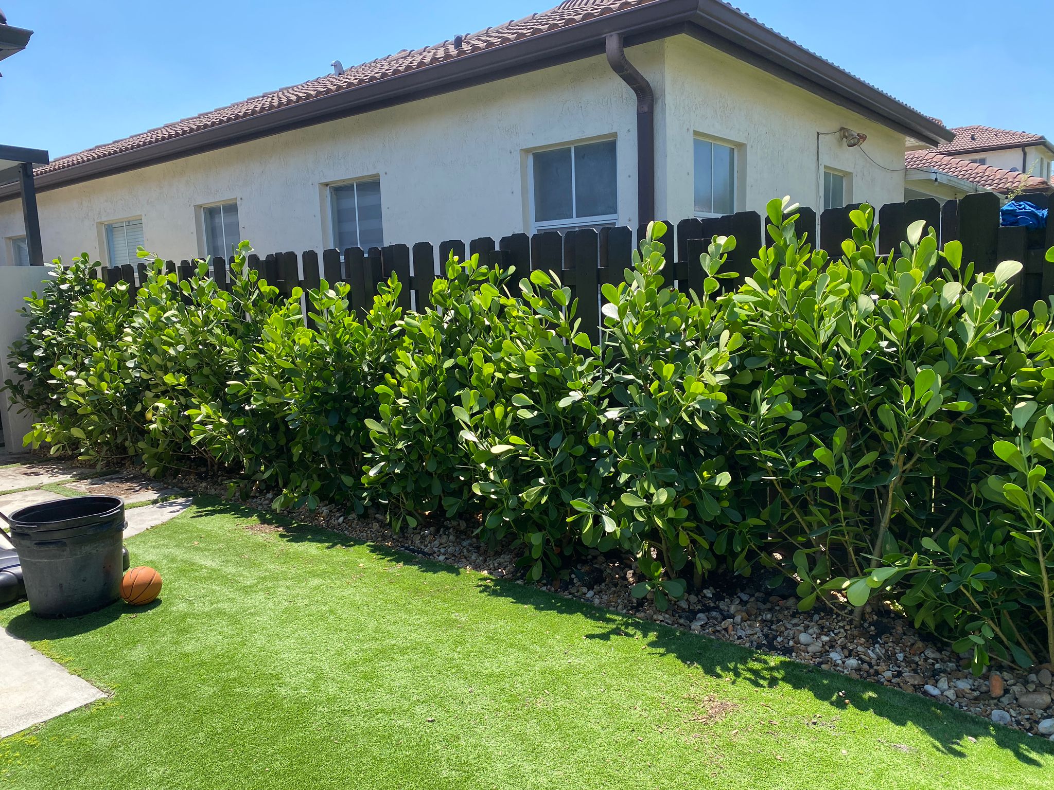 Home 1 Hedge Installation