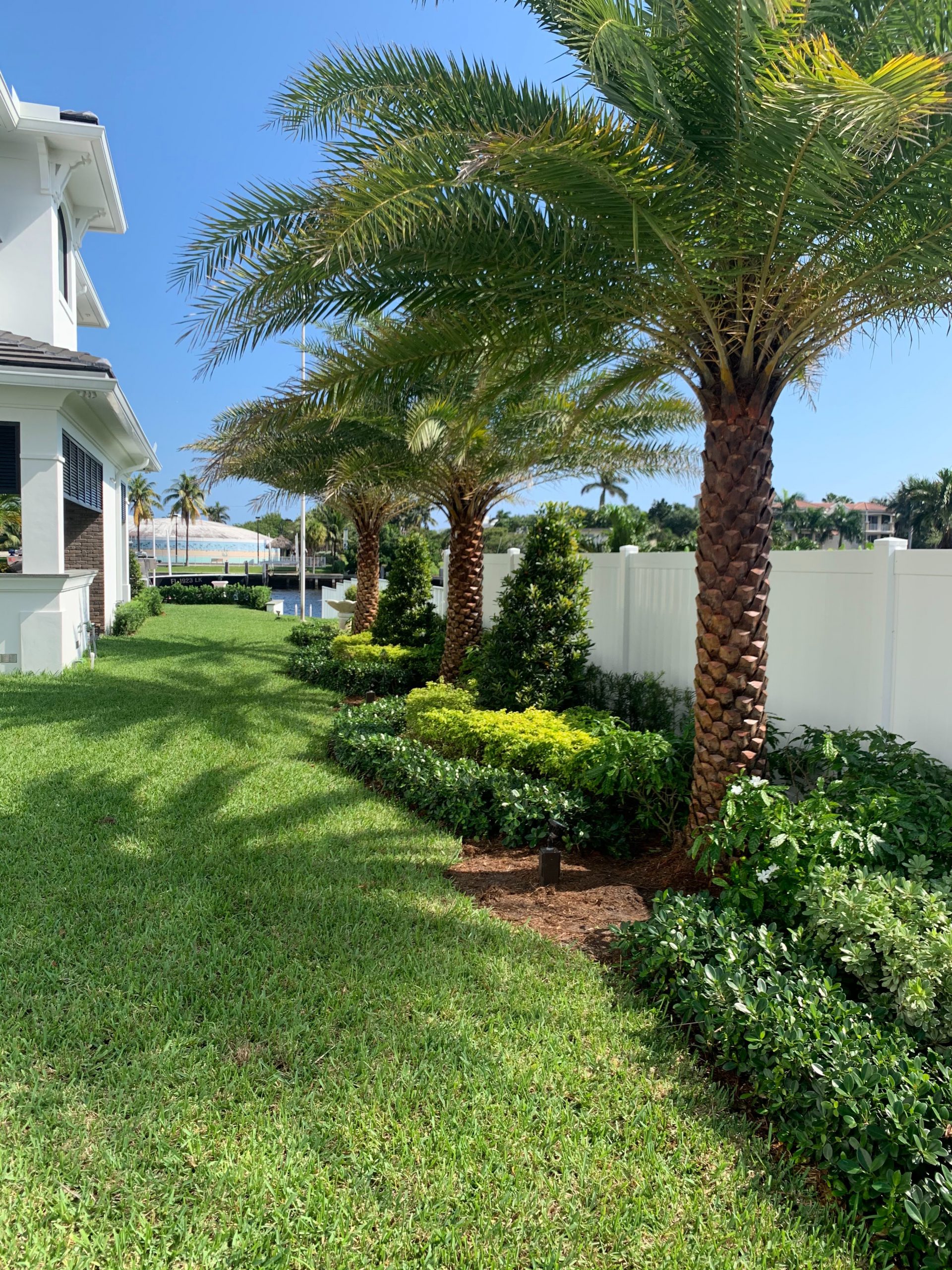 hedge installations and landscaping solutions